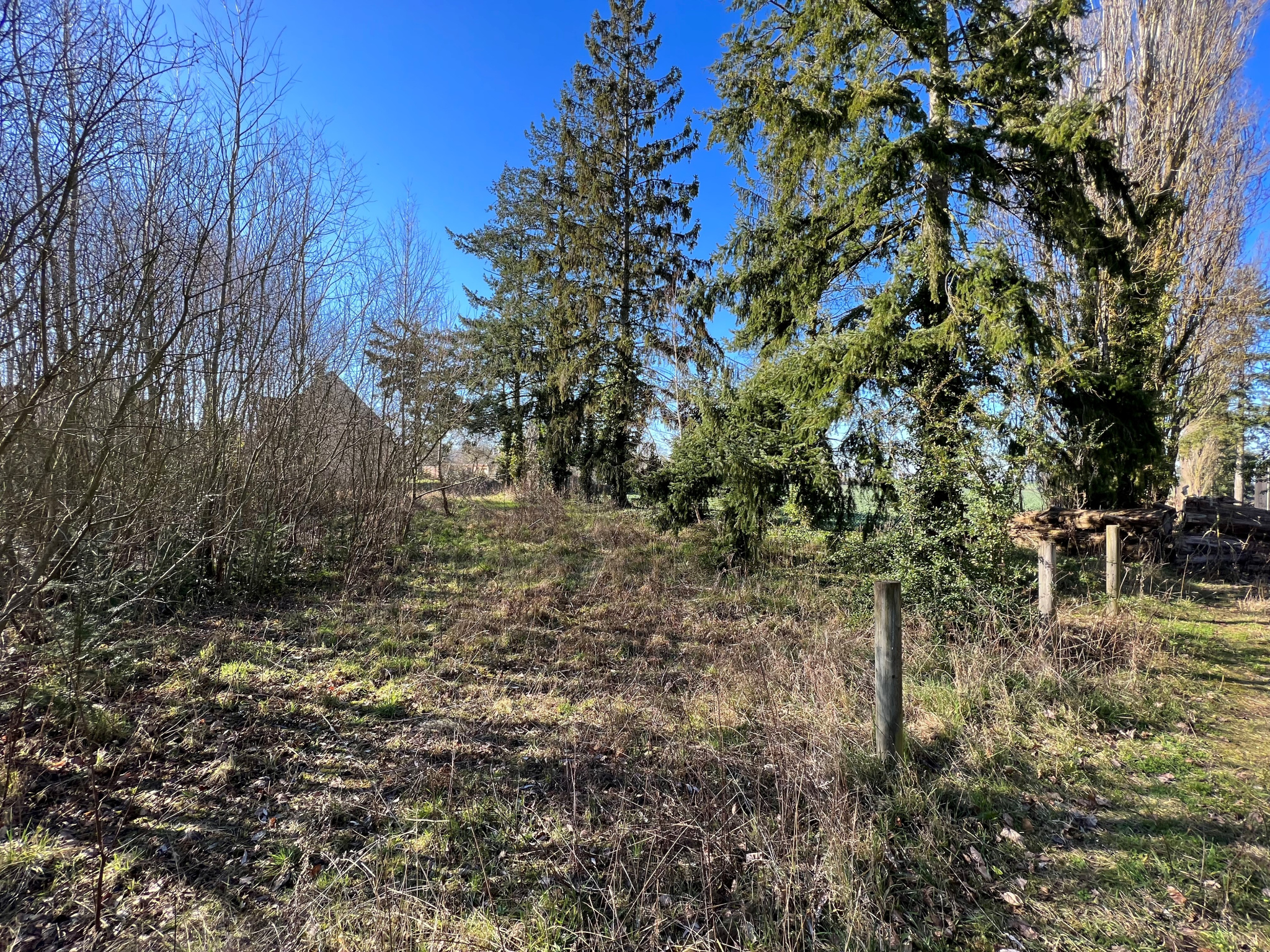 Terrain de 503m2